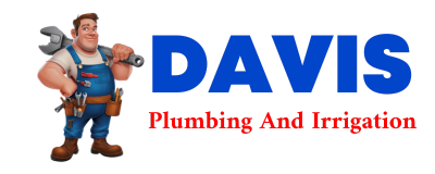 Trusted plumber in NEW RAYMER